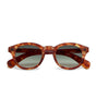 Gafas de sol okkia milano sahara havana 1