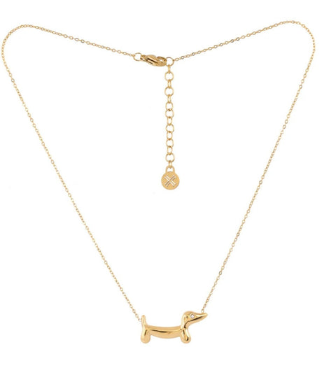Collar teckel dorado anartxy 1