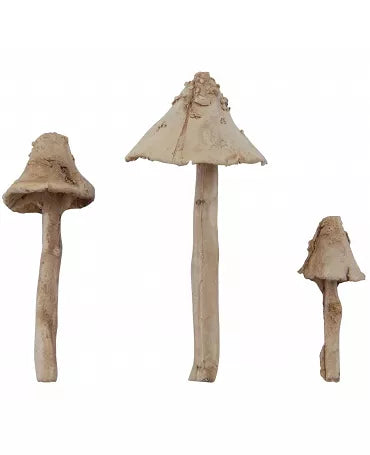 Tim Holtz Idea-ology Champignons 3pc 2