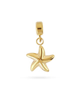 Charms starella dorado anartxy 1