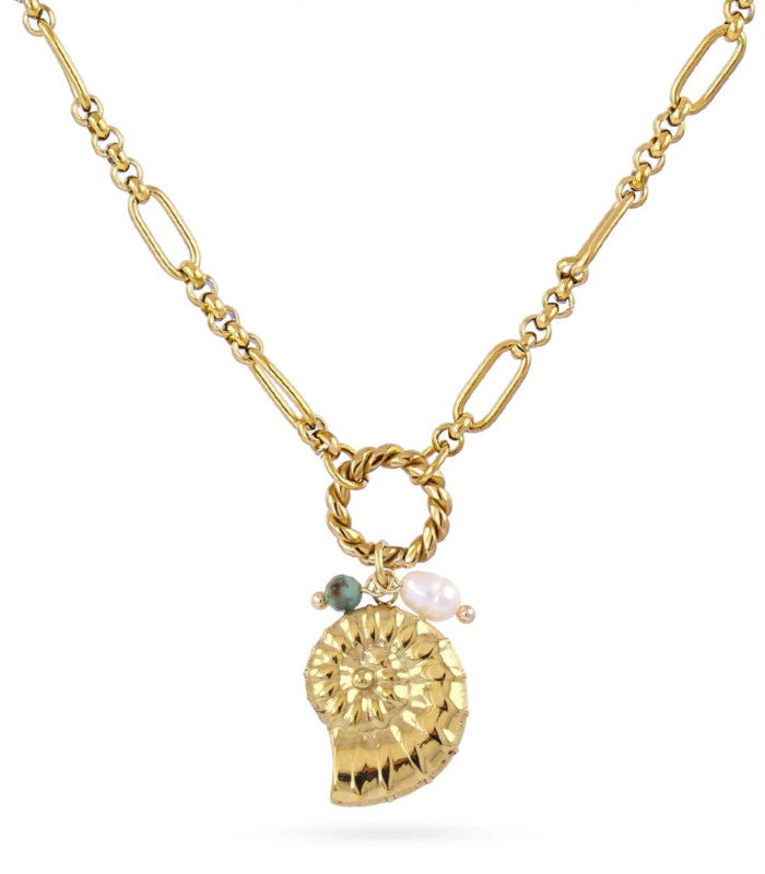 Collar coast claw dorado anartxy 1