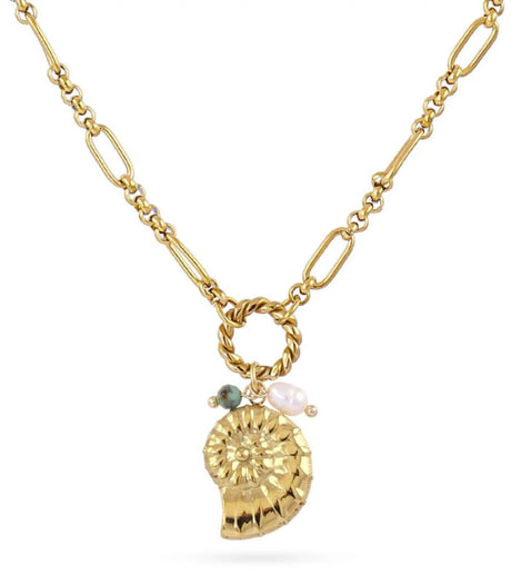 Collar coast claw dorado anartxy 1