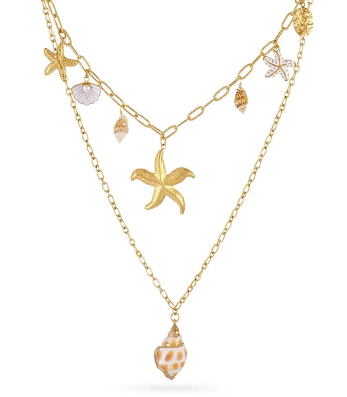 Collar coast oyster dorado anartxy 1