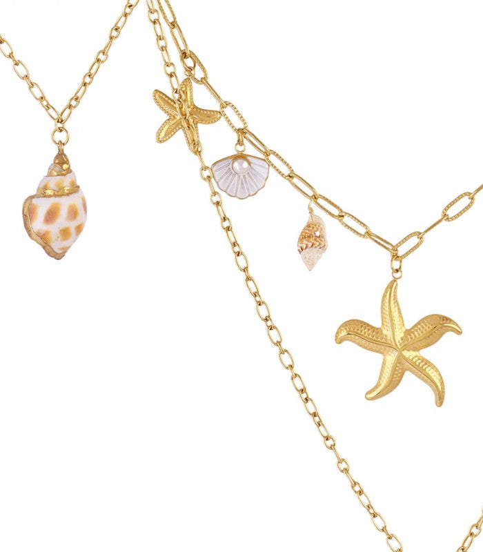Collar coast oyster dorado anartxy 2