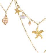 Collar coast oyster dorado anartxy 2