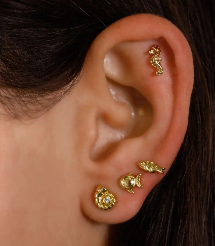 Piercing seahorse dorado anartxy 2