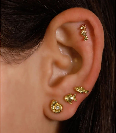 Piercing conch dorado anartxy 2