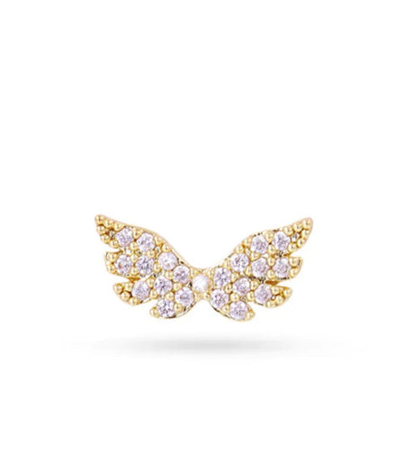 Piercing fly dorado anartxy 1