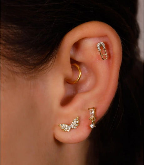 Piercing fly dorado anartxy 2