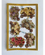 CROMOS INGLESES FLORES A78 AÑO 1992 1