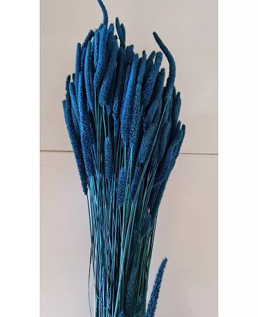 Ramo Phleum preservado azul oscuro 1