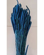 Ramo Phleum preservado azul oscuro 1