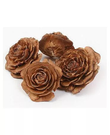 ROSA MADERA natural ramo 10 ud 2