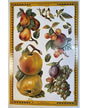 CROMOS INGLESES FRUTAS A143 AÑO 1998 1