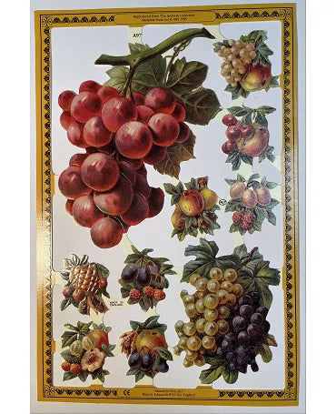 CROMOS INGLESES FRUTAS A97 AÑO 1995 1