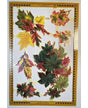 CROMOS INGLESES FLORES A151 AÑO 1999 1