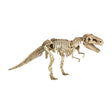 Set de excavacion tiranosaurio t-rex world spiegelburg 1