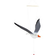 Gaviota voladora small foot 1