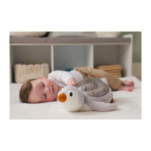 Proyector recargable tranquil penguin cloud-b 2