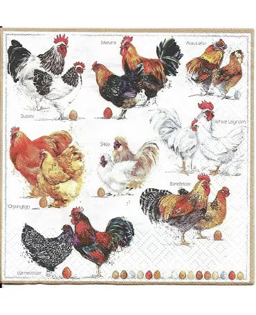 Servilletas POULETS-GALLOS 1