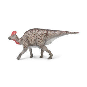 Dinosaurio magnapaulia collecta 1