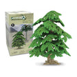 Arbol de ginkgo biloba collecta 1