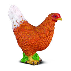 Gallina collecta 1
