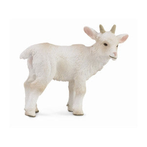 Cabrito de pie collecta 1