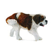 Perro san bernardo collecta 1