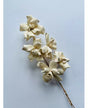 Flor SHOLA GARDENIA Blanca RAMO 8 RAMAS 1