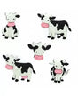 Botones MOOOVE IT! 5pc 1