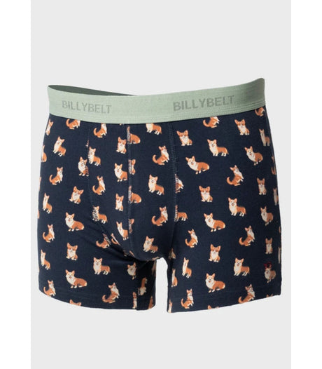 Boxer algodon bio corgi billy belt 1