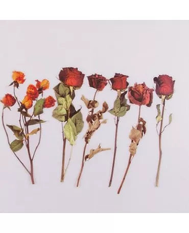 Stickers FLORES ROSAS 6ud 1