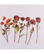 Stickers FLORES ROSAS 6ud 1