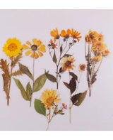Stickers FLORES AMARILLAS 6 ud 1