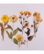 Stickers FLORES AMARILLAS 6 ud 1