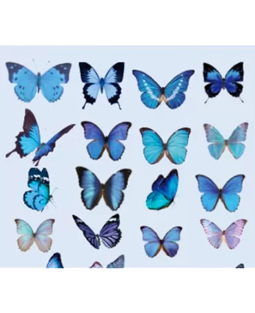 Stickers mini MARIPOSAS transparentes 40 ud 1