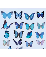 Stickers mini MARIPOSAS transparentes 40 ud 1