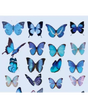 Stickers mini MARIPOSAS transparentes 40 ud 1
