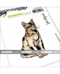 SELLO CARABELLE Cat's smile 1