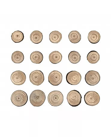 Tim Holtz Idea-ology WOOD SLICES 15pc 2