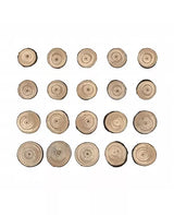 Tim Holtz Idea-ology WOOD SLICES 15pc 2