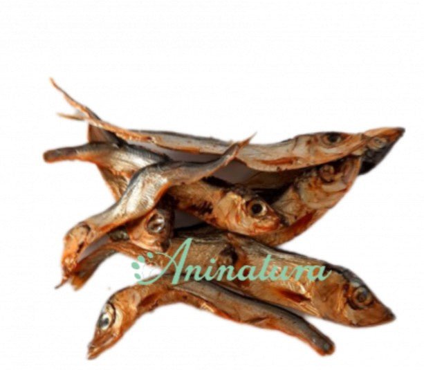 Anchoas deshidratadas - Dendago