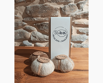 Ardi - Ko Basoko '22 - Dendago