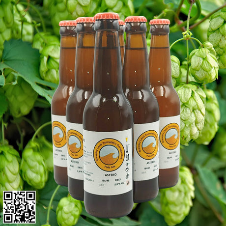 ASTEKO (American Pale Ale) >> Lote de 6 botellas de 33 cl - Dendago