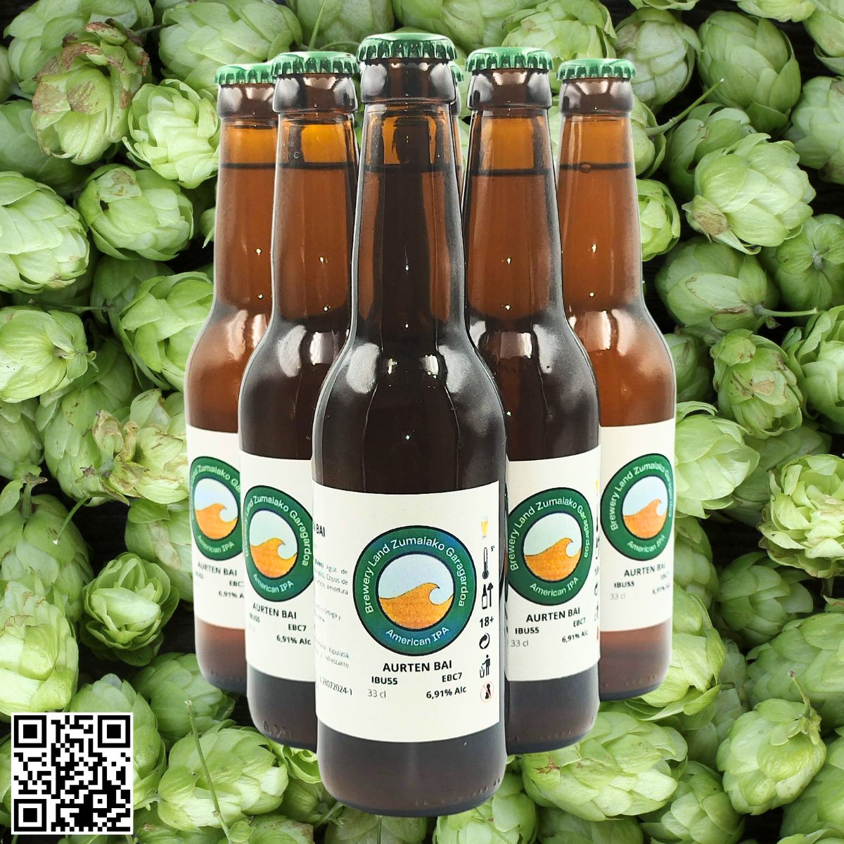 AURTEN BAI (IPA) >> Lote de 6 botellas de 33 cl - Dendago
