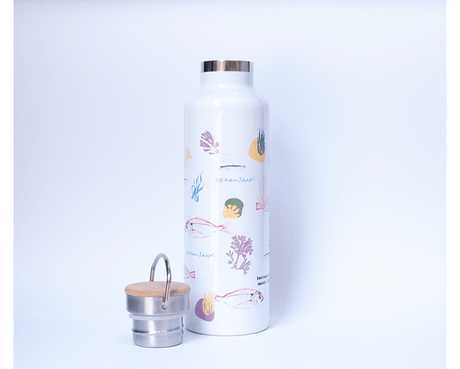 ???? Botella termo reutilizable Hidratación sin plásticos, estés donde estés - Dendago