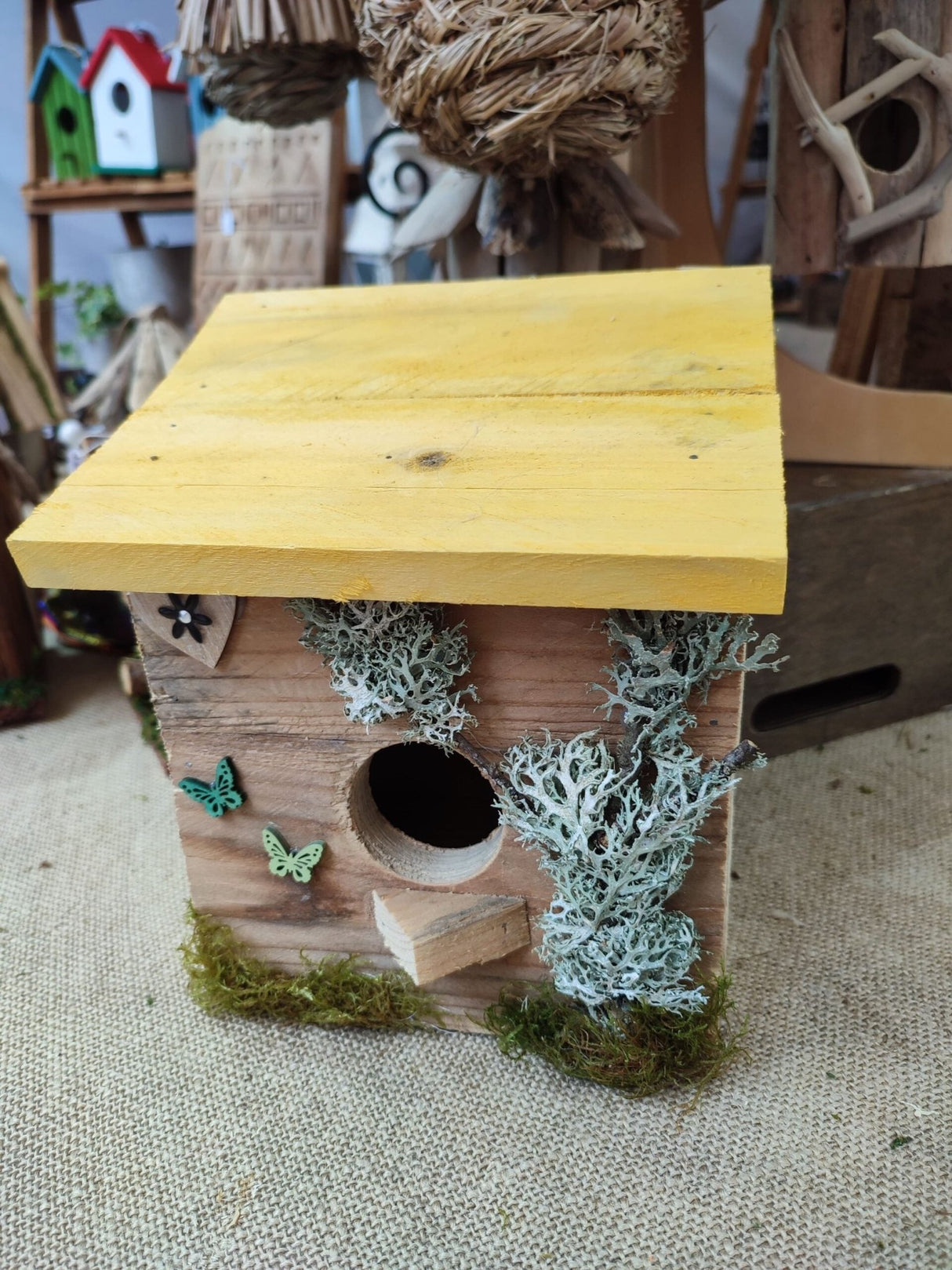 Casita de pájaros Chochín - Dendago