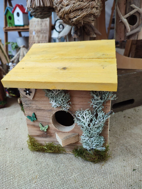 Casita de pájaros Chochín - Dendago