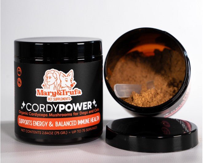 Cordy Power para perros y gatos - Dendago